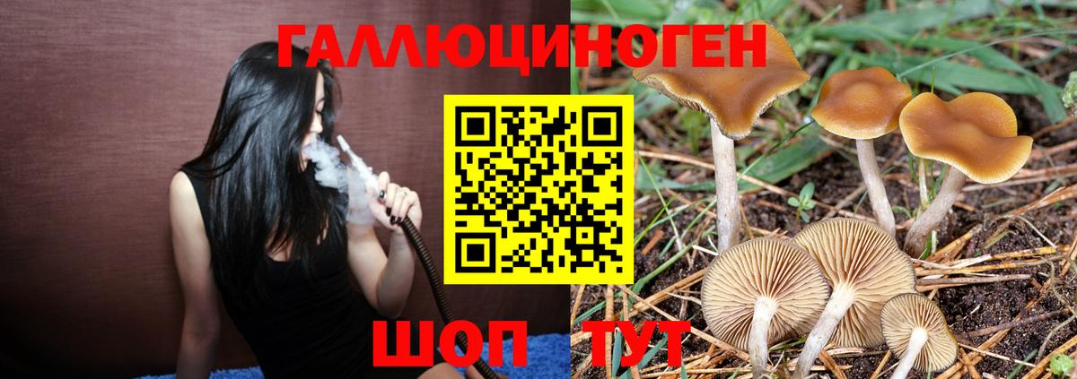 Спасск-Дальний  Псилоцибиновые грибы прущие грибы  Вход с VPN 